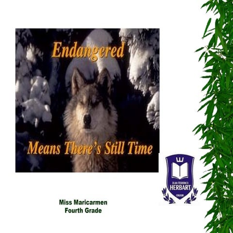 Endangered species presentation