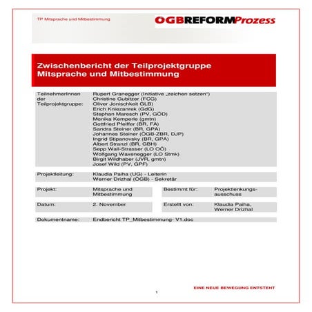 Endbericht tp mitbestimmung  v1