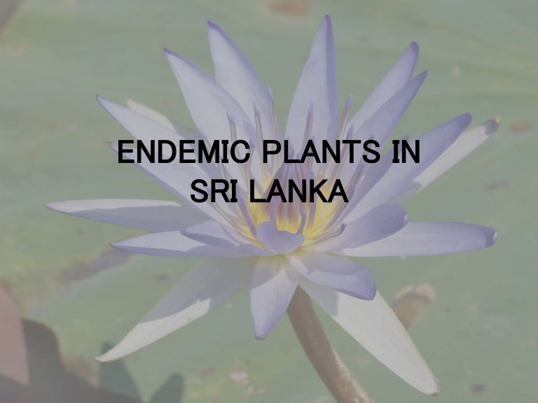 Endemic plants in sri lanka