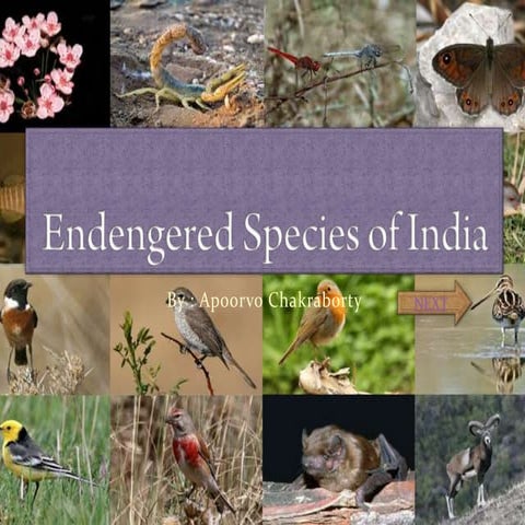 Endengered species of india