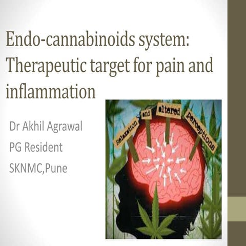 Endo cannabinoids system