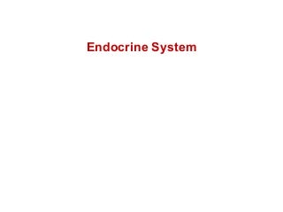 Endocrine System