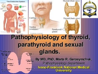 Pathophysiology of the thyroid, parathyroid and sexual glands