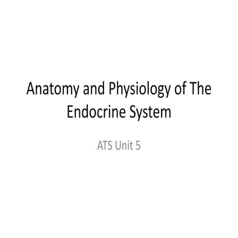 Endocrine system for essentials of health care