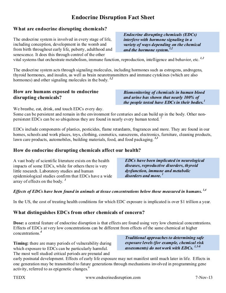 Endocrine disruption fact sheet