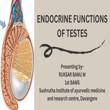 Endocrine functions of testies.pdf testies endocrinology | PDF