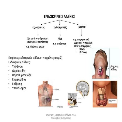 Μάθημα: Βιολογία. Α' Λυκείου. 11ο Κεφ.-Σημειώσεις σχολικού βιβλίου