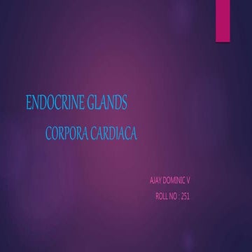 Endocrine glands of insects