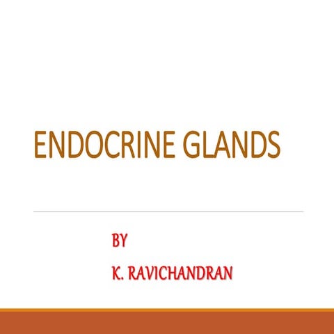 Endocrine glands