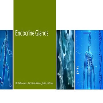Endocrine Glands Expo.pptx for educational