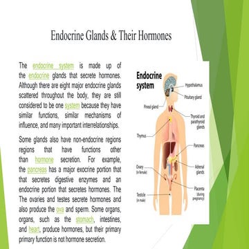 Endocrine Glands & Their Hormones.pptx