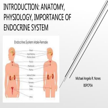 INTRODUCTION TO ENDOCRINE SYSTEM