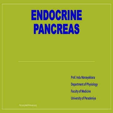 Endocrine pancreas 2025_250211_170431.pdf
