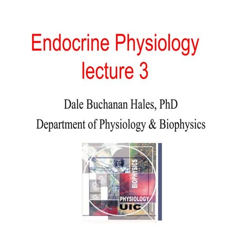 endocrine_physiology_2.ppt hypothalamic hormones