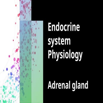 Endocrine Physiology  ADRENAL CORTEX.pptx