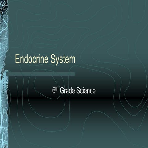 Endocrine system