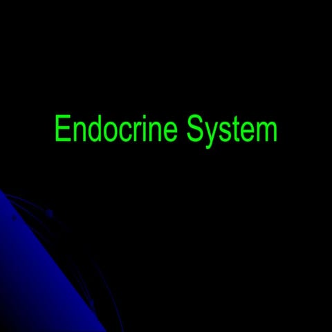 Endocrine system