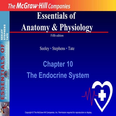Endocrine System