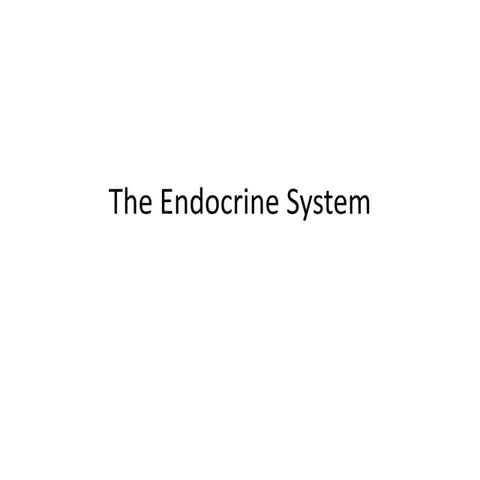 Endocrine system