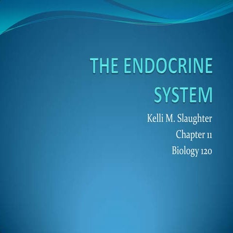 Endocrine system