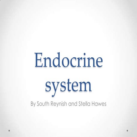 Endocrine system