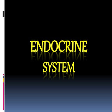 Endocrine system
