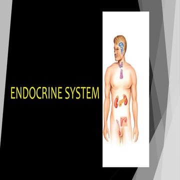 Endocrine system