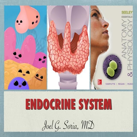 Endocrine system - drjopogs