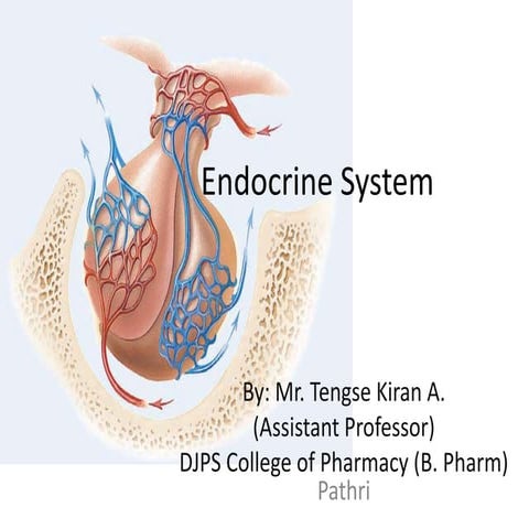 Endocrine system