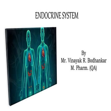 Endocrine system