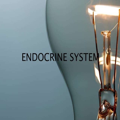 ENDOCRINE SYSTEM.pptx