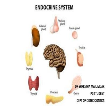 THE ENDOCRINE SYSTEM AND ITS HORMONES IN OUR BODY .pptx
