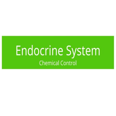 Endocrine Gland Histology and its typess | PPTX