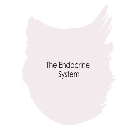 ENDOCRINE SYSTEM human anatomy and physiology