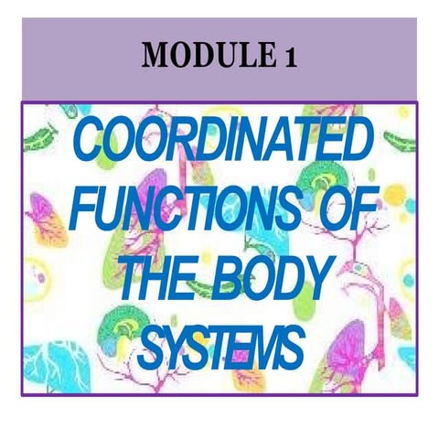 ENDOCRINE SYSTEM.pptxccxxxxxxxxxxxxxxxxxxxxxxxx