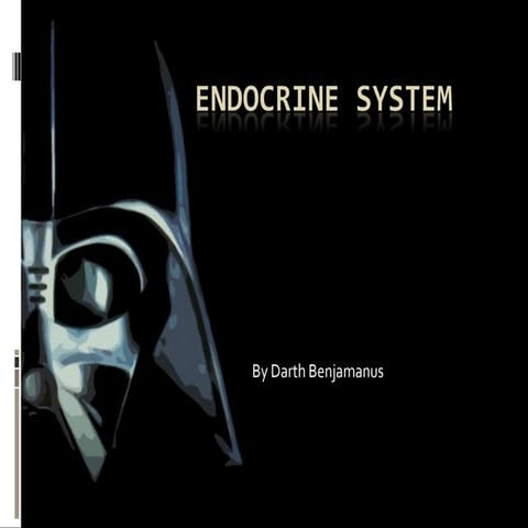 Endocrine system 2