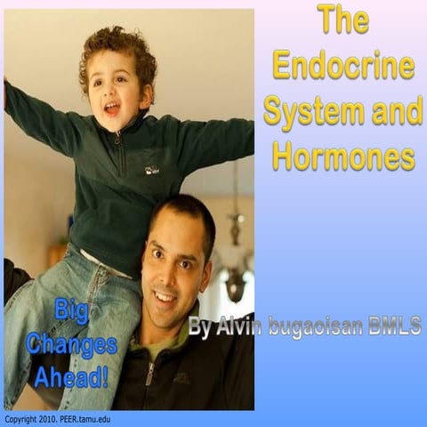 Endocrine system and hormones b y alvin bugaoisan BMLS