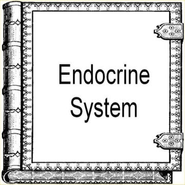 Unit 4 endocrine system(1) | PPTX