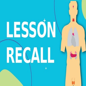 Endocrine System grade 10 lesson FINAL PPT.pptx