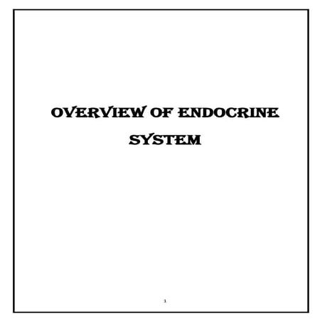 Endocrine system overview