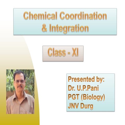 Chemical Coordination and Integration: Endocrine System