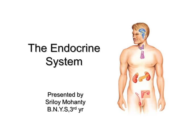 Endocrinology