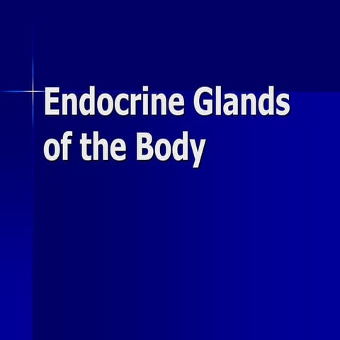Endocrine Glands of The Body