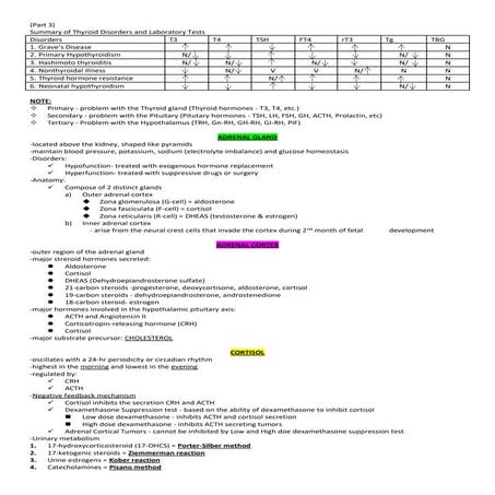 Endocrinology Part 3.docx
