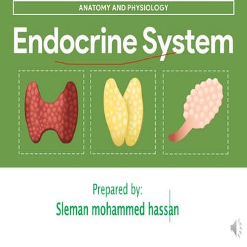 Endocrin system