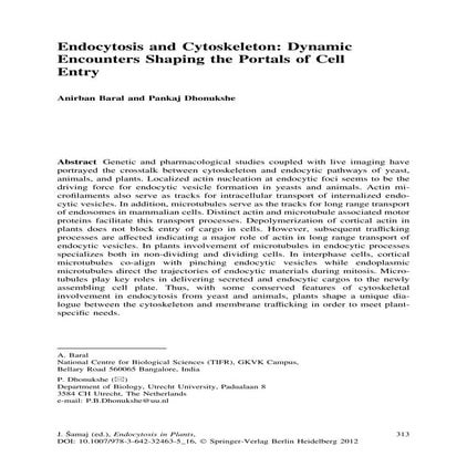 Endocytosis and cytoskeleton dynamic