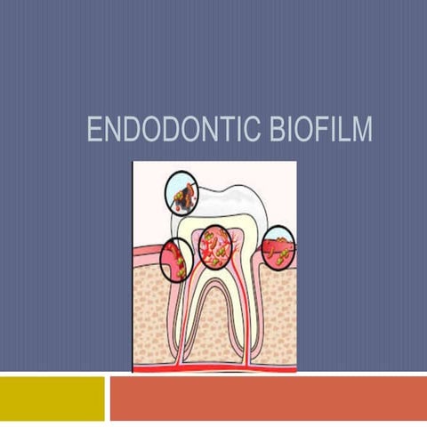 Endodontic biofilm