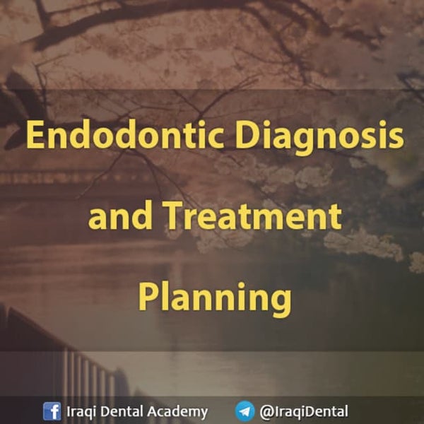 Endodontic Root Perforation Causes, Identification, and Management