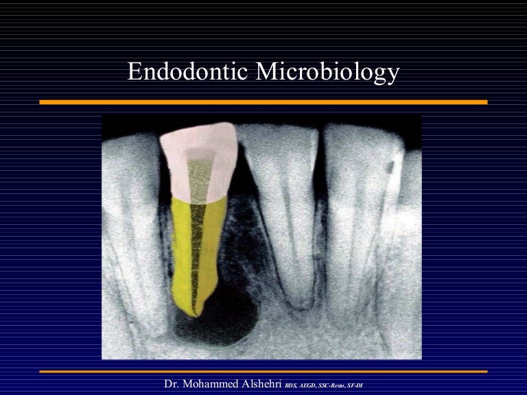 Endodontic microbiology