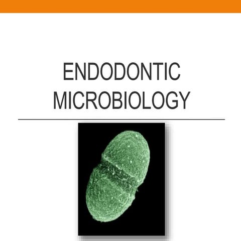 Endodontic microbiology